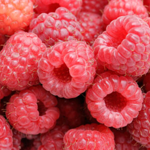 FH Raspberry