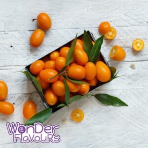 WFSC Kumquat