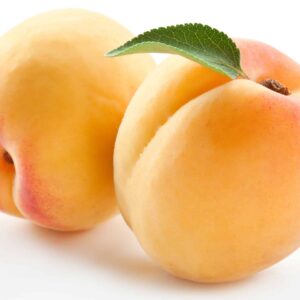 TFA Apricot