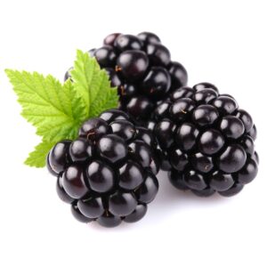 TFA Blackberry