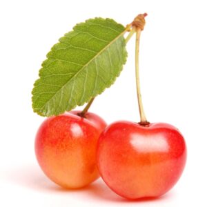 FW Swiss Cherry