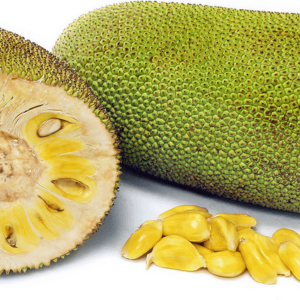 TFA Jackfruit