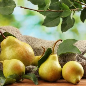 TFA Pear