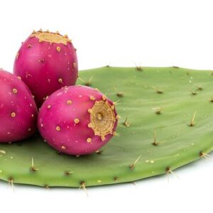 FW Prickly Pear